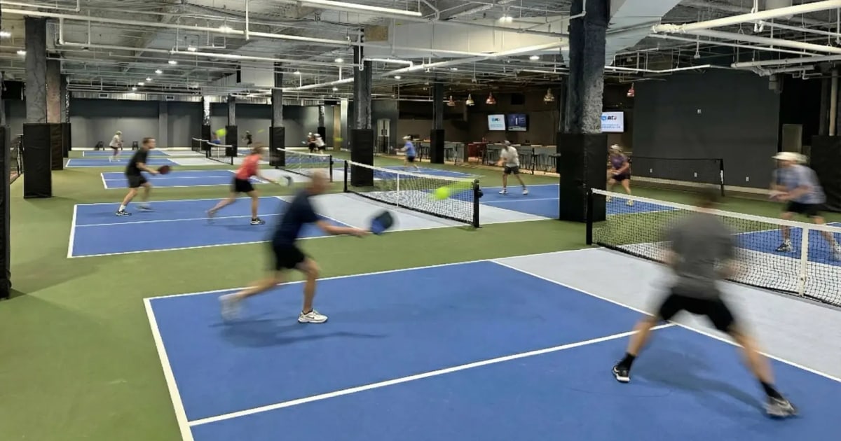Preview image published by pickleballamerica.us